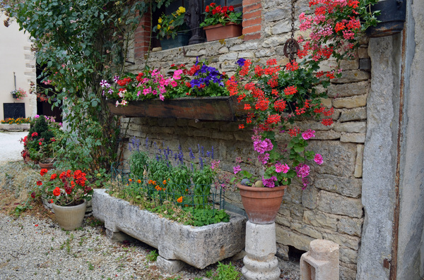 Autour de Laignes : "l'eau, trésor à préserver" et "la visite du domaine Guilleman"