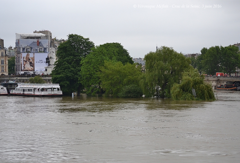 Crue de la Seine, 3 juin 2016 : Le Square du Vert Galant