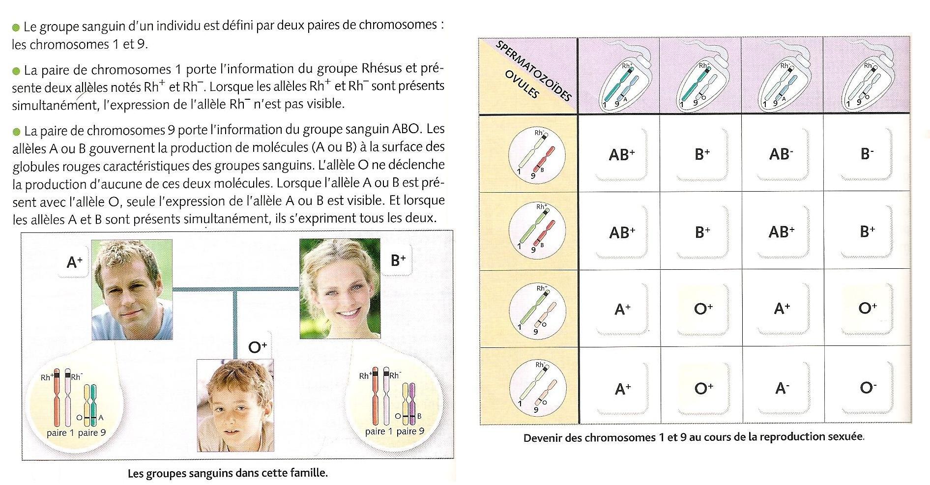 cellules reproductrices organisme rencontre milieu de vie