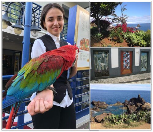 "Séjour à Madère - Mardi 29 mai 2018