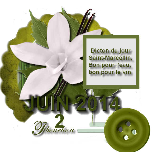 ╠♥╣ DICTON DE JUIN