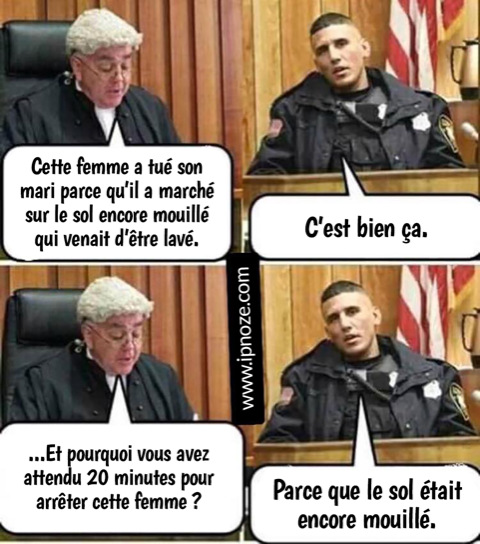 QUE FAIT LA POLICE???