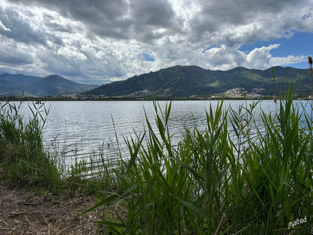 Etang de Biguglia