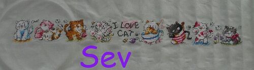 I love Cat (09)