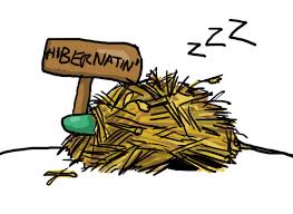 Hibernation &quot;Symptômes et comment faire hiberner&quot; - Torturama