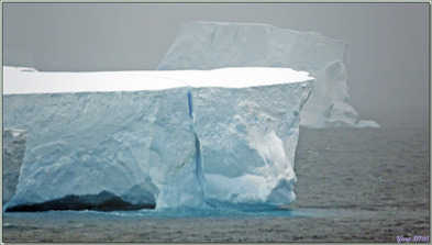 22/02/2022 : navigation dans la mer d'Amundsen : icebergs, orques, oiseaux, banquise, phoques ...