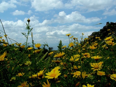 JORDANIE : GADARA - ville gréco-romaine