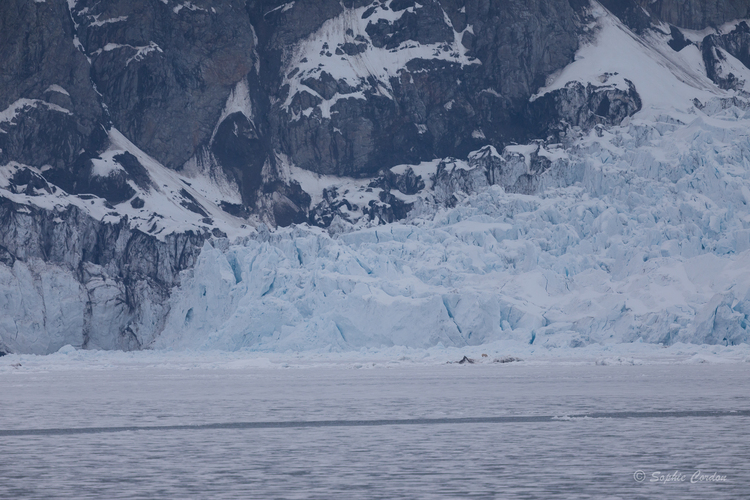 Nordstjernen 20 Mai - Monacobreen