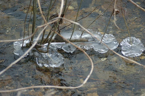 La magie de l'hiver au bord de l'Allagnon.24.01.2017