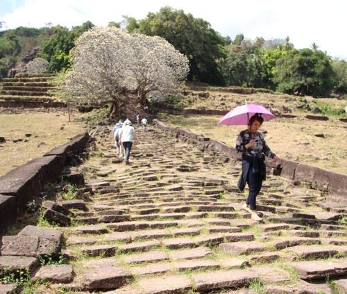 Vat Phou (suite)