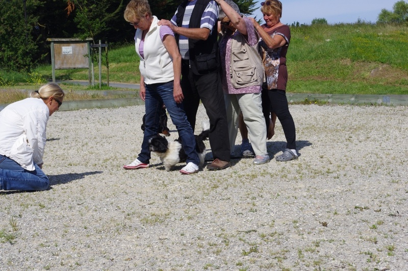 Entraînement du 27 juin 2012 