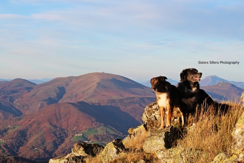 Sortie en montagne 