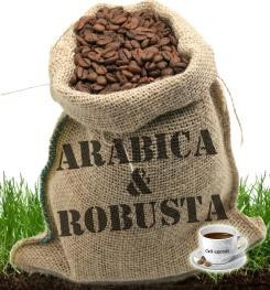 café,arabica,caféine