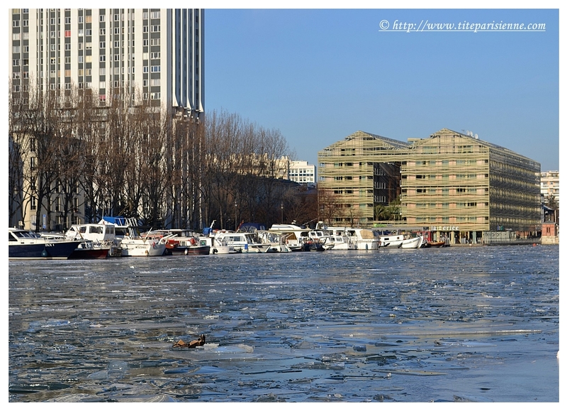 Le Bassin de la Villette sous la glace : hiver 2012