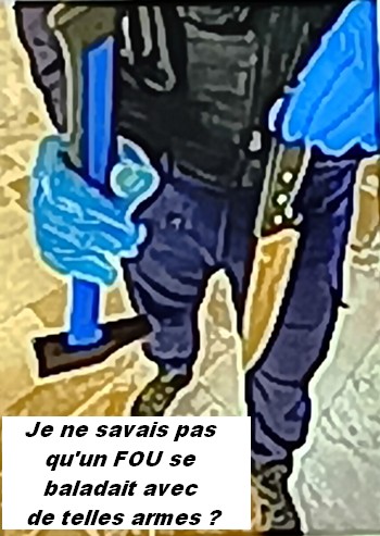 La FRANCE à côté de ses pompes . art.39