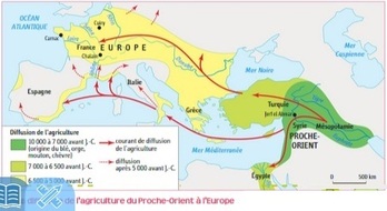 La "révolution néolithique"