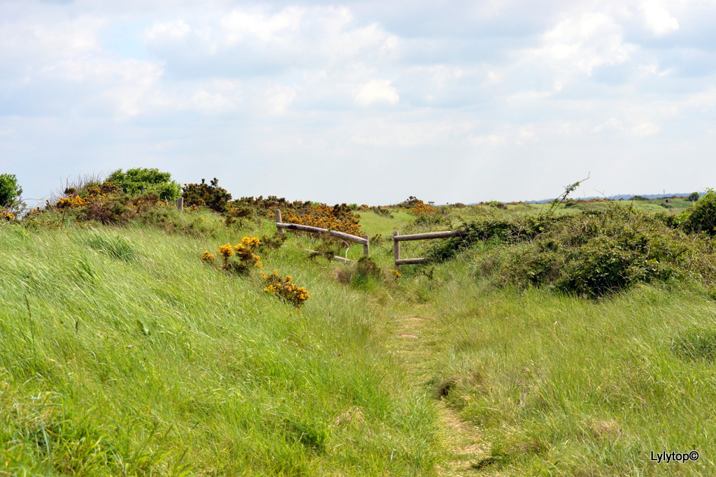 Le domaine de Beauguillot.