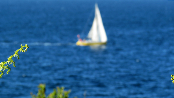 Escapade iodée à l'Île de Groix (Morbihan) - Depuis Port Lay  sur le sentier côtier