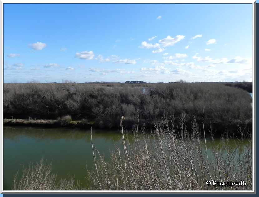 Le sentier du littoral au Teich