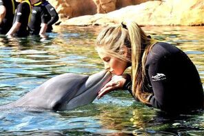 Bisous de dauphin #kiss #dolphin