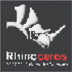 Image DOT : Enregistrement de données et algorithmes récursifs