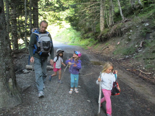 Vallon de la Frèche (Luchonnais) - 31