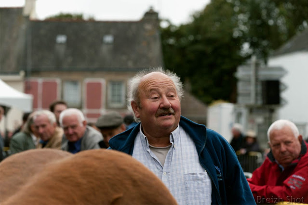 Roudouallec : Fierté d'un éleveur de chevaux bretons