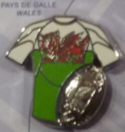 Pin's Pays de Galles CPM 2007 (35)