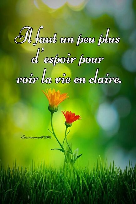 Montage et citations