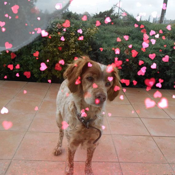 Cannelle 14 ans, joyeux anniversaire.