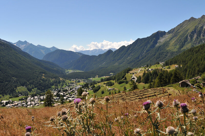 Italie, Val d'Ayas : le ru Courtaud