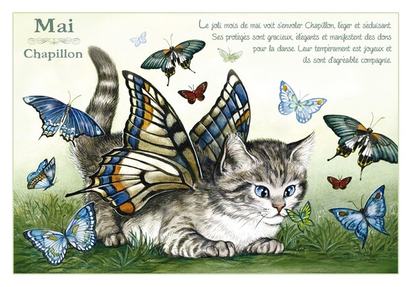 "Les Chats Enchantés" de Séverine Pineaux