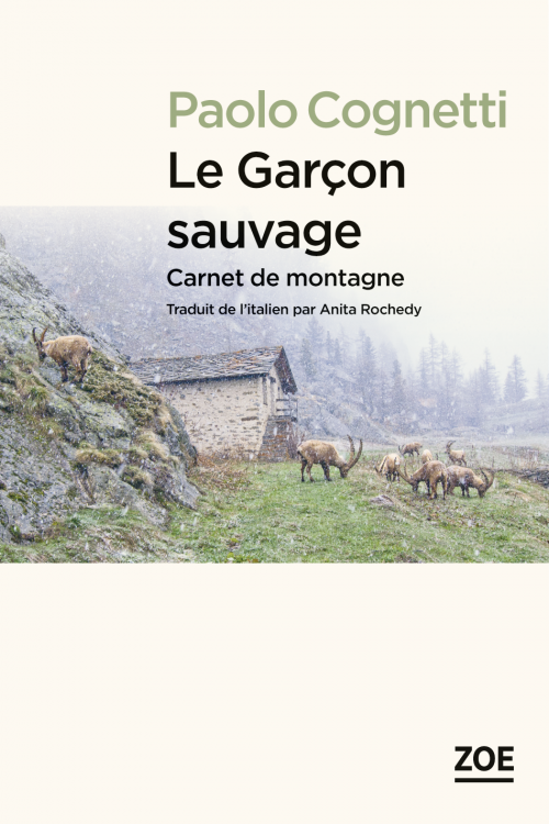  Paolo Cognetti, Le Garçon sauvage