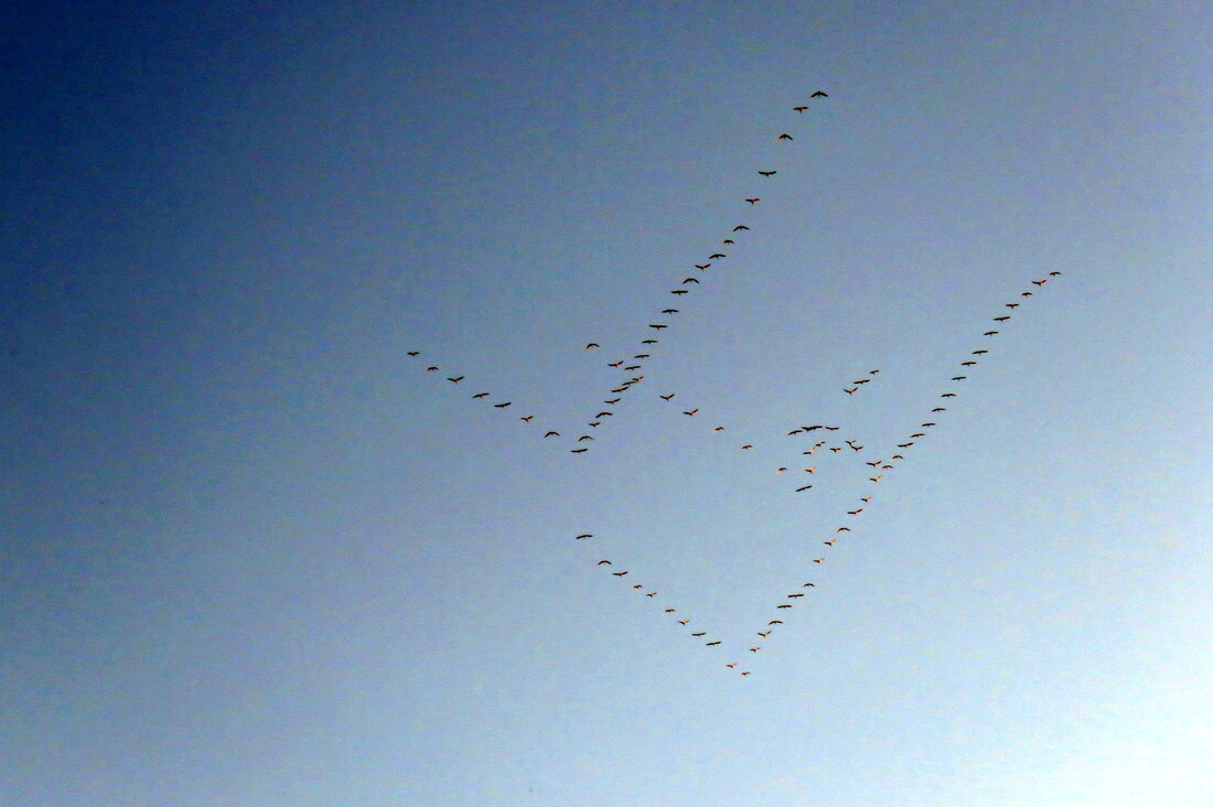 elles passent dans le ciel !!!