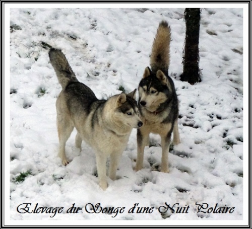 Thyron et Felya dans la neige