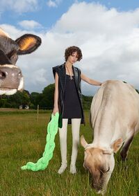 mode fashionmeadow cow 