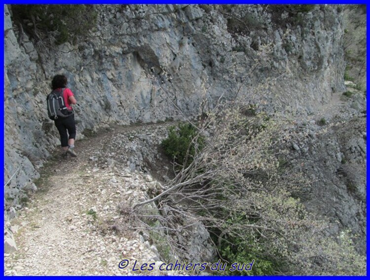 Les gorges de Trévans