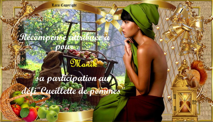 Récompenses pour le défi"La cueillette des pommes"