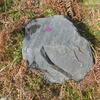 En bordure du chemin, un rocher avec une ancienne balise peinte (Comme un roc)