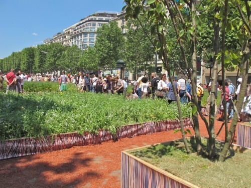 Nature Capitale Champs Elysées 1