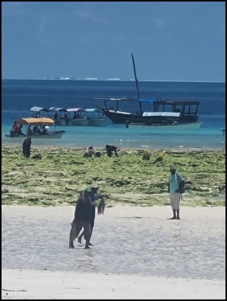 La plage de Matemwe, Zanzibar 2023