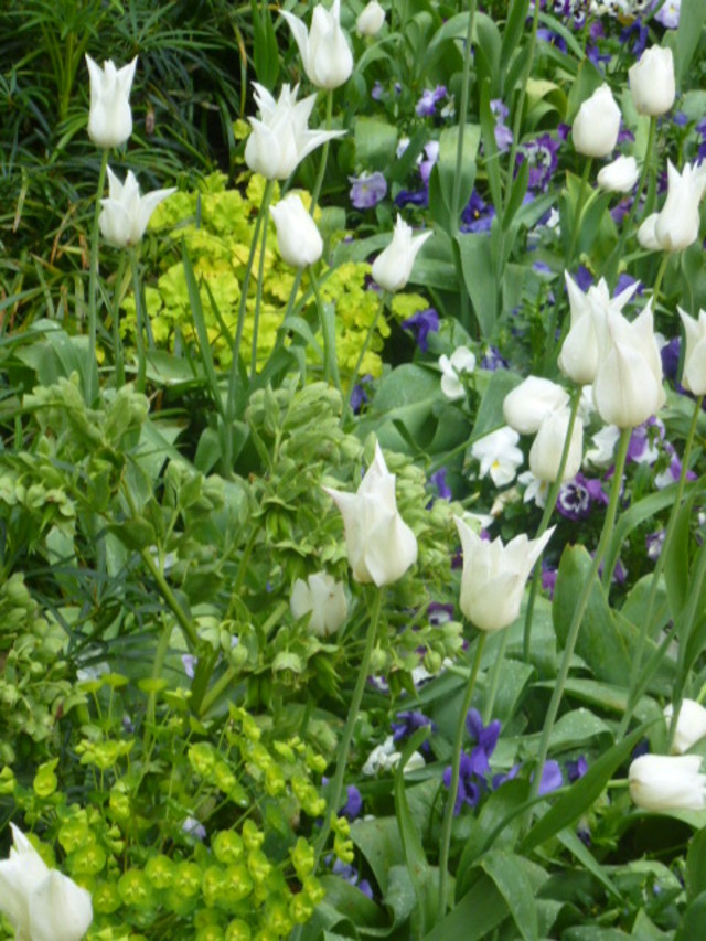 Suite de la visite des Jardins 2013 du Chateau de Chaumont.