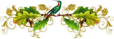 Perruche à ailes vertes
