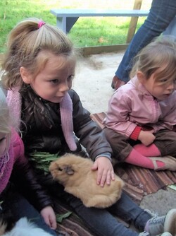 Notre visite à la ferme de Kerporho