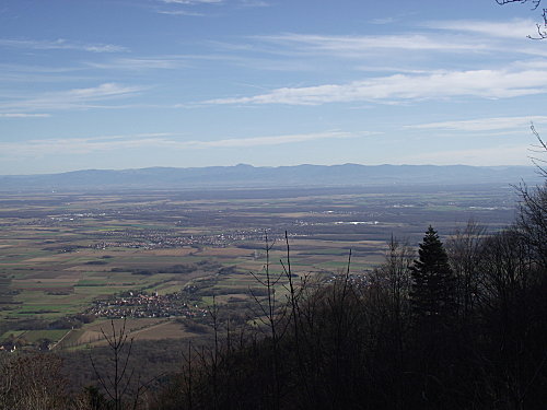 2010 0101hartmannswillerkopf0219