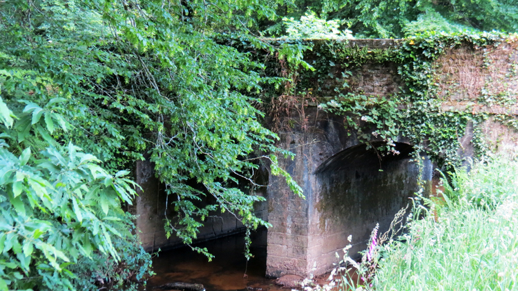 Rendez-vous au jardin : Domaine de Kerguéhennec Brignan (Morbihan) - Nature