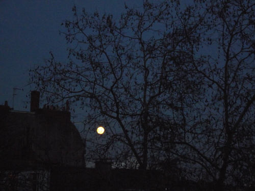 La lune dans la nuit bleue...