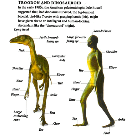 quels animaux descendant des dinosaures