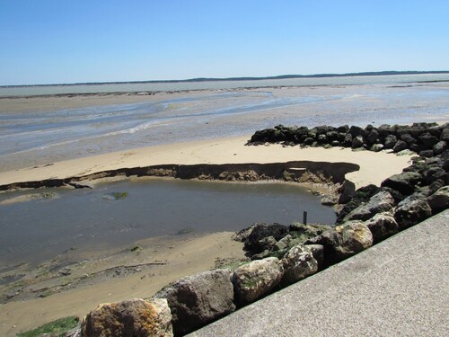 Ile d'Oléron (Saint Trojan).