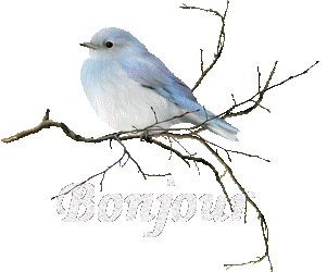 Mes Gifs saisonnier Bonjour
